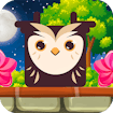 Owl Block